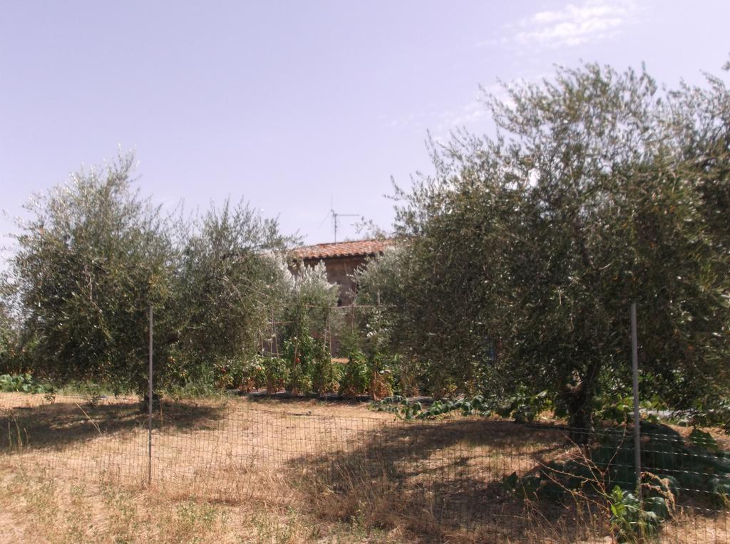 Locazione Turistica Ex Le Casette Di Cedromonte Panicale Eksteriør billede